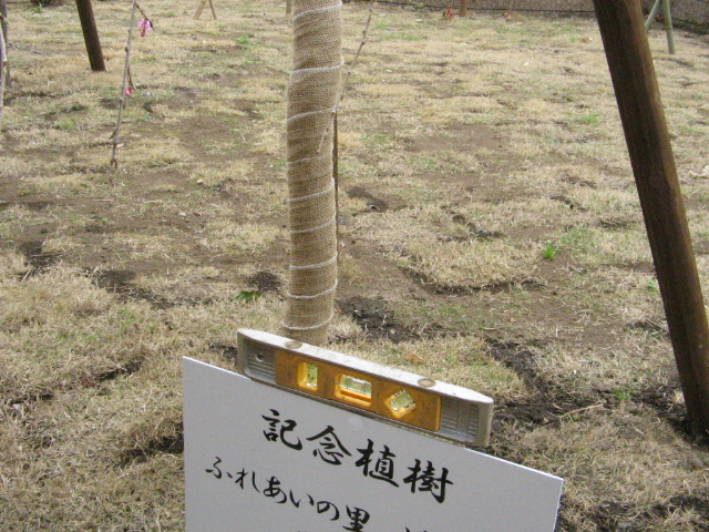 鳩山町記念植樹４