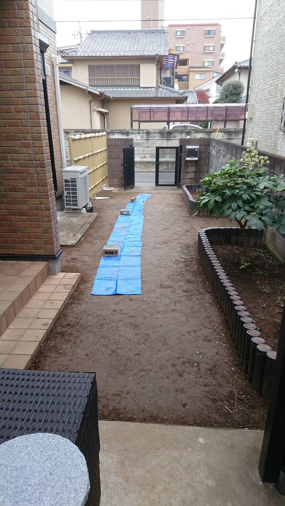 ちょっとした背の高い木撤去２－１