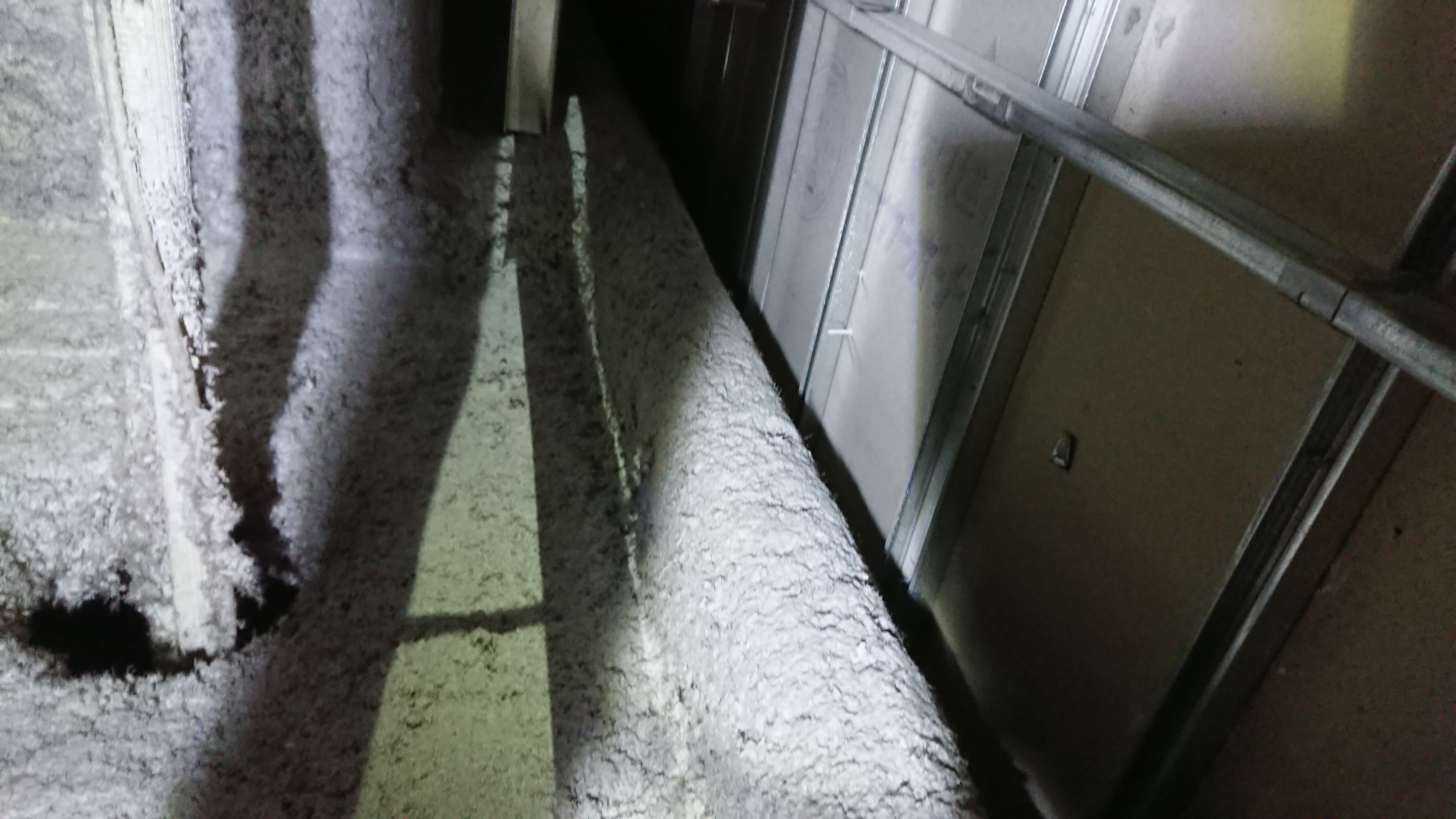 石綿関連