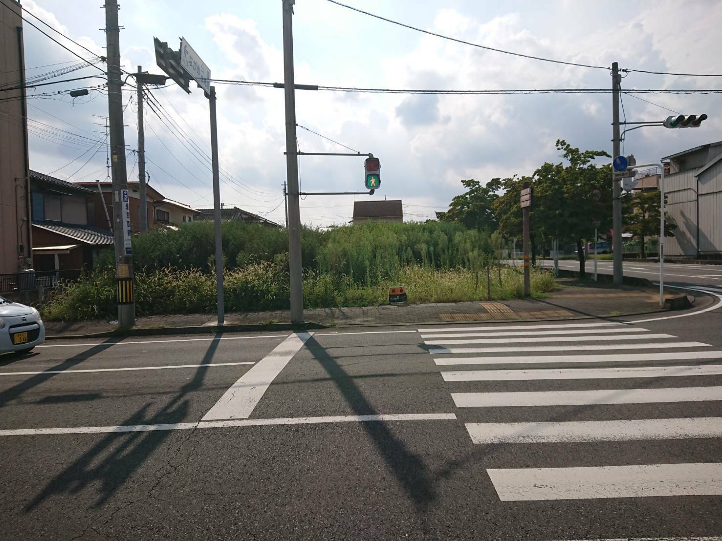 桐生