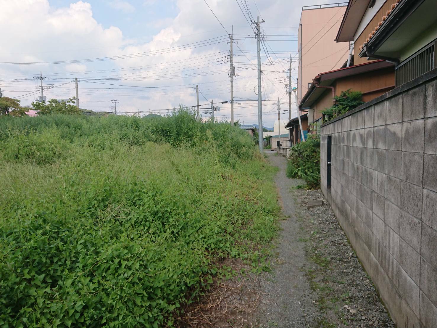 桐生